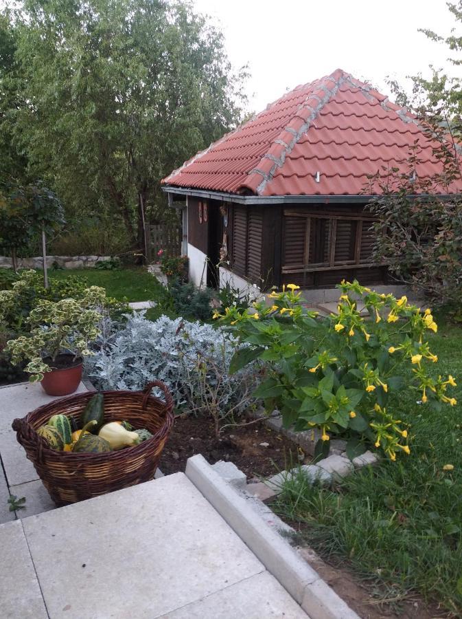 Apartman Civovic 루드니크 외부 사진
